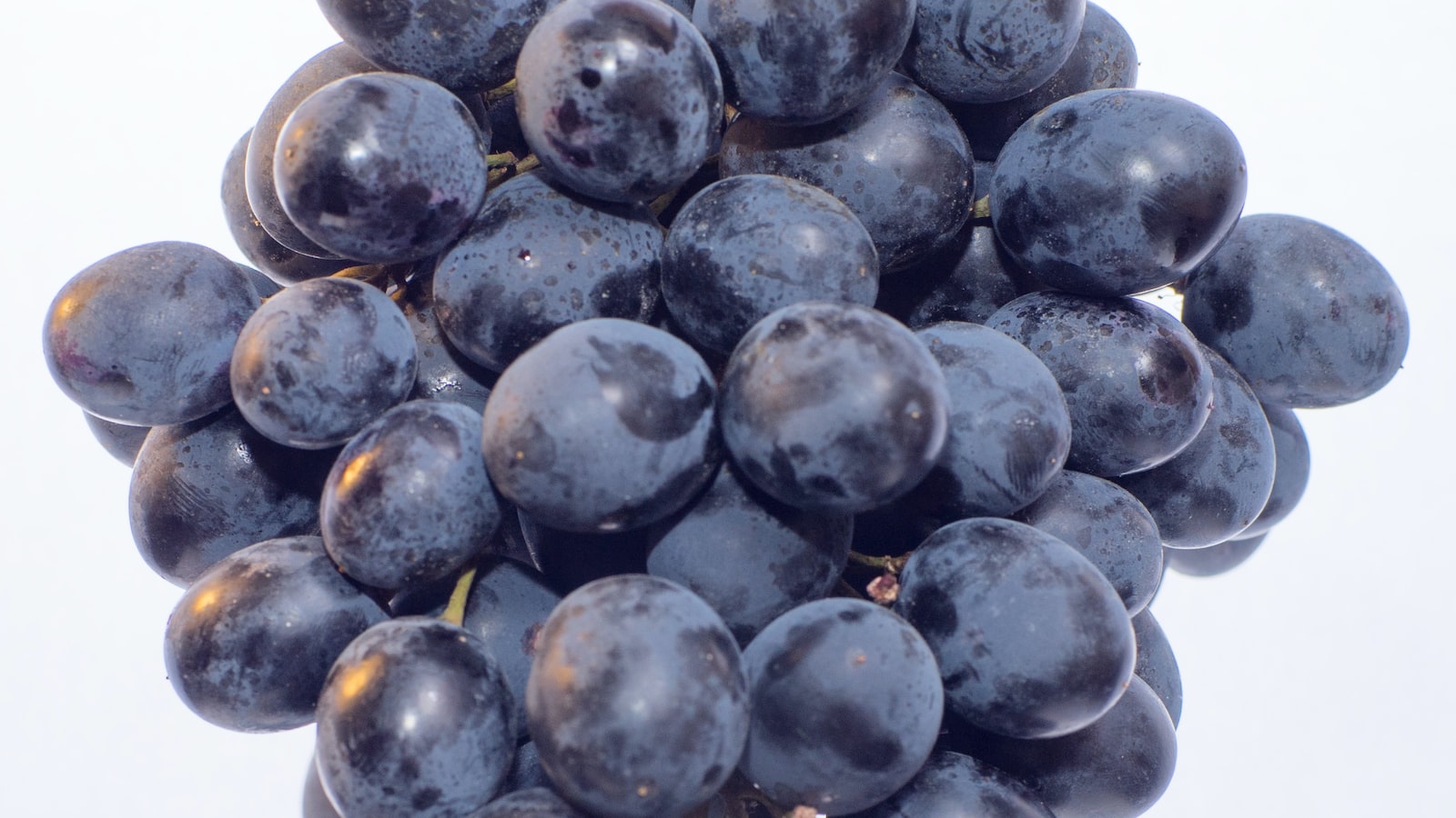 Fruit Quality Matters: ‌Choosing the Safest and Most Nutritious Options